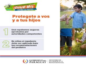 INFO MSPYBS: DENGUE: ES IMPORTANTE SABER IDENTIFICAR LOS SÍNTOMAS