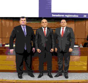 Info Senado: La Cámara de Senadores conformó su mesa directiva para el periodo 2024-2025